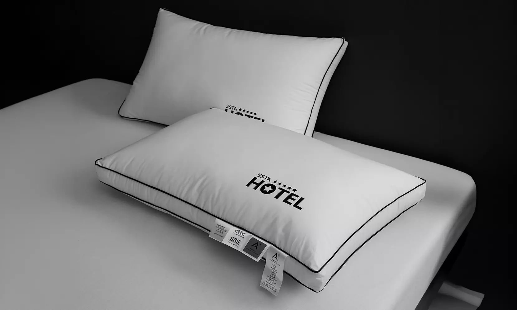 100% Cotton Five Star Hotel Pillow 2 Pack Set