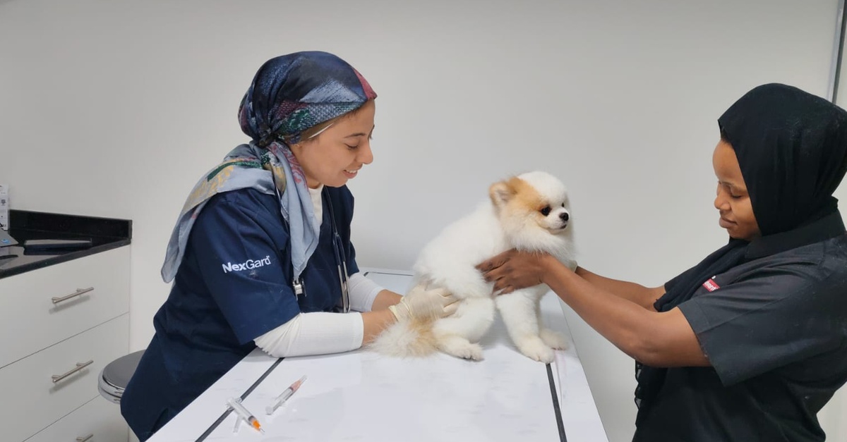 Professional Veterinary Care And Annual Pet Wellness Packages Professional Veterinary Care And Annual Pet Wellness Packages