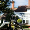 Image 9: East Riding, Yorkshire: One Night Stay with Breakfast & Vineyard Package 