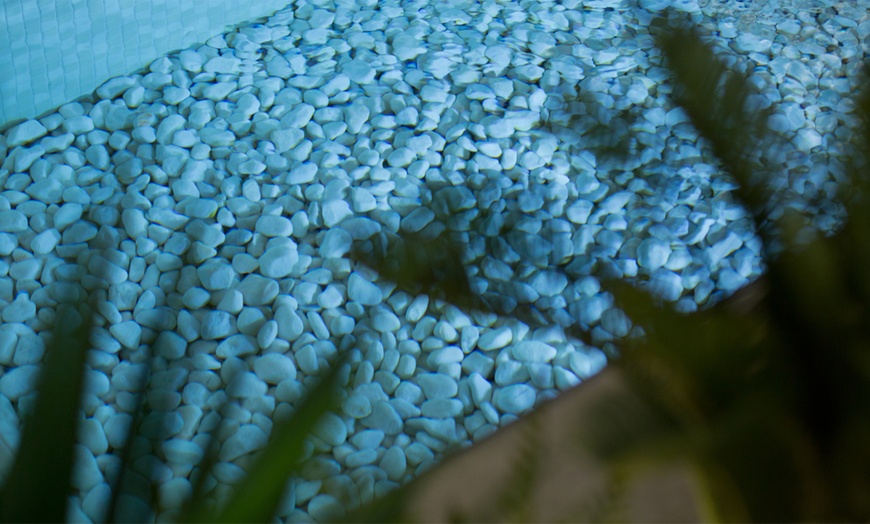 Image 37: Circuito spa de 90 minutos para 1 o 2 personas en plena Albufera