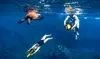 Morning Lana‘i Snorkeling Tour or Book a Private Charter with Kaanapali Ocean Adventures (Up to 10% Off)
