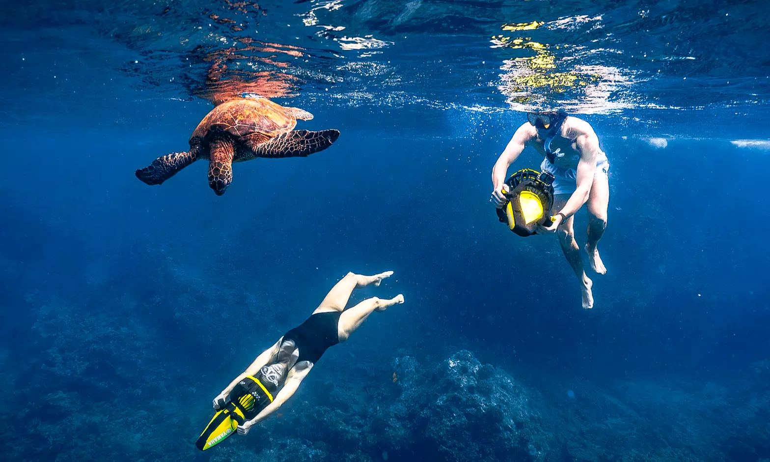 Set Sail in Maui: Morning Lana'i Snorkel Tour or Private Charter!
