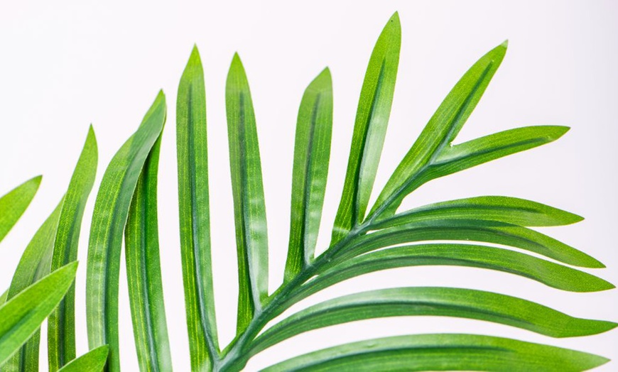 Image 20: Artificial Plants and Trees - Bamboo, Ficus, Olive and Palm