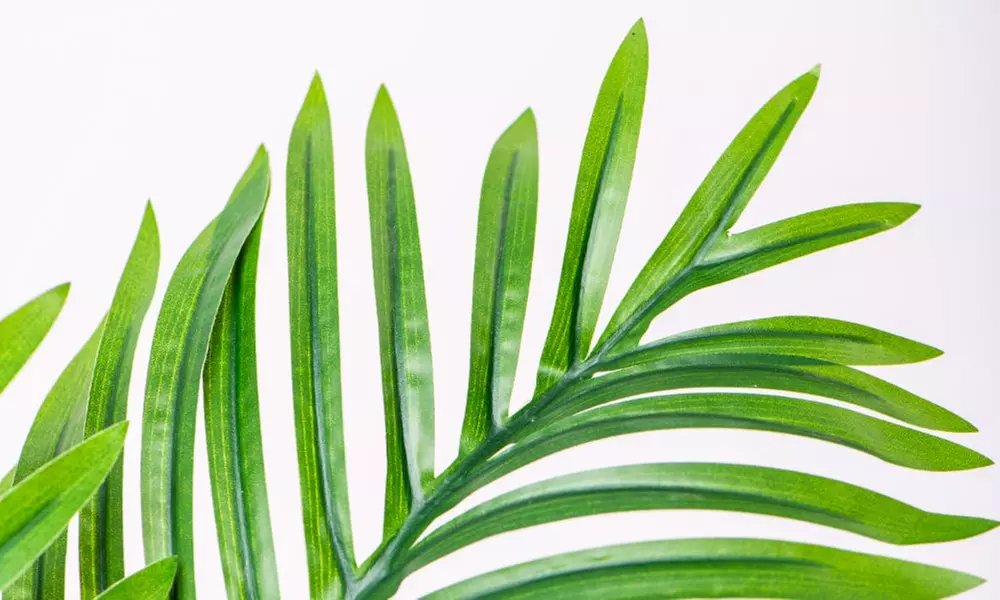 Artificial Plants and Trees - Bamboo, Ficus, Olive and Palm