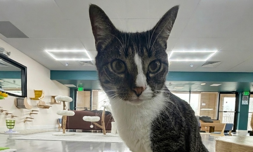 Image 3: Enjoy a Date Night for Two