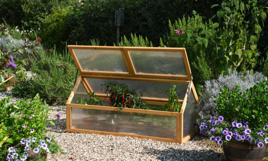 Image 15: Garden Grow Raised Wooden Cold Frame