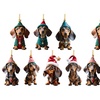 Image 2: 14-Piece Dachshund Dog Christmas Ornaments Set
