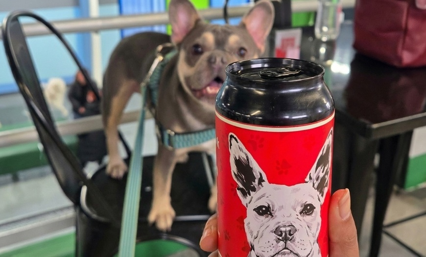 Image 5: Indoor Dog Park Day Pass with Drinks for You