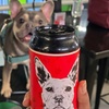 Image 5: Indoor Dog Park Day Pass with Drinks for You