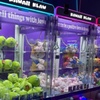 Image 7: Largest Claw Machine in America - Arcade Tokens for Kawaii Klaws