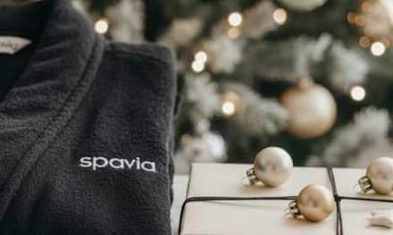 Signature Massage - 60 Minutes - Spavia Belmar