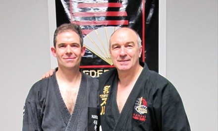 Martial Arts Classes - Aiki Jui jitsu - Willowtree Martial Arts