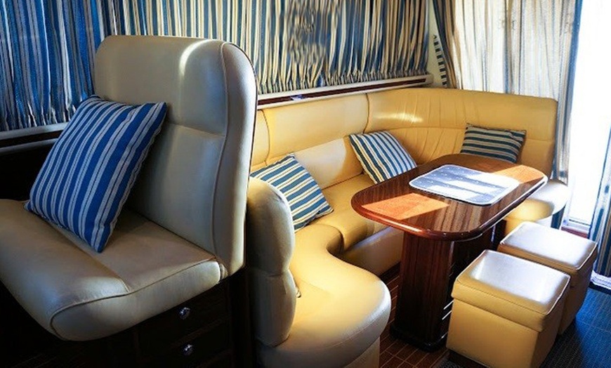 Image 7: Excursión de 2 horas en yate exclusivo para ver ballenas y delfines 