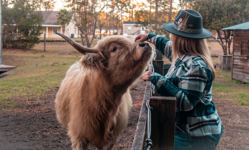 Image 4: Farm Tour at Hodges Hidden Highlands Farm in Middleburg, FL