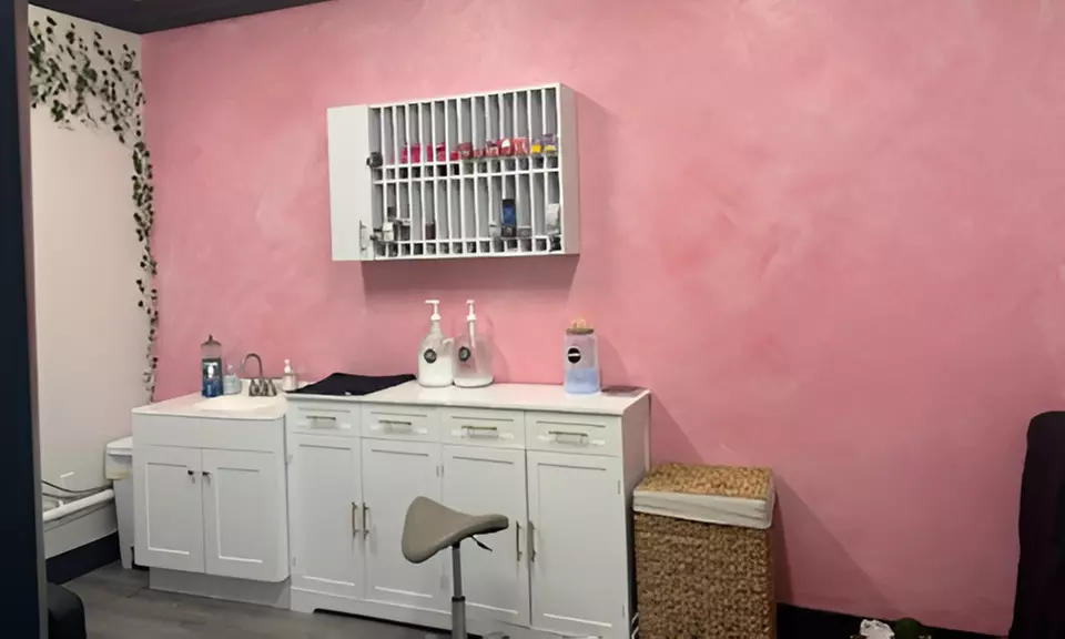 Cut, Shampoo, Conditioning with Partial Highlight or Lowlight & More