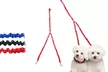 Waloo Pets Double Dog Bungee Dog Leash- Black,Red or Blue - Second Medium
