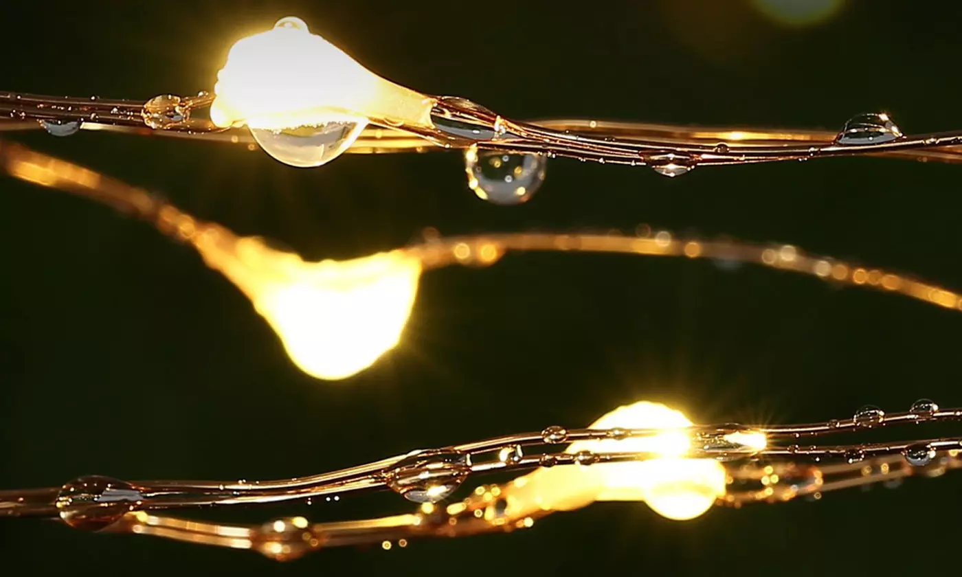 200 Led Solar String Lights Waterproof Fairy Lights for Patio Trees Christmas