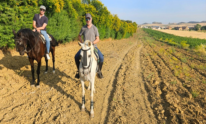 Image 5: Ruta a caballo de 90 minutos por el Aljarafe hasta Itálica