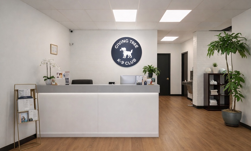 Image 5: Get a Full Bath / Grooming Package for Small | Medium | Large Dogs