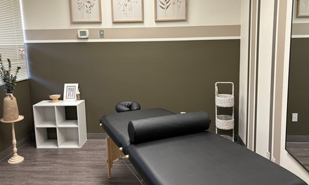 One Chiropractic Exam and Chiropractic Treatment - Youvoria Wellness Chiropractic