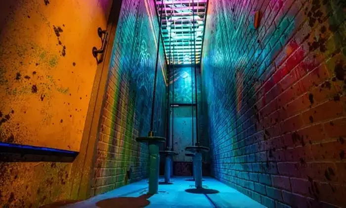 Enjoy an All Day Pass at Labyrinth Lewisville for One
