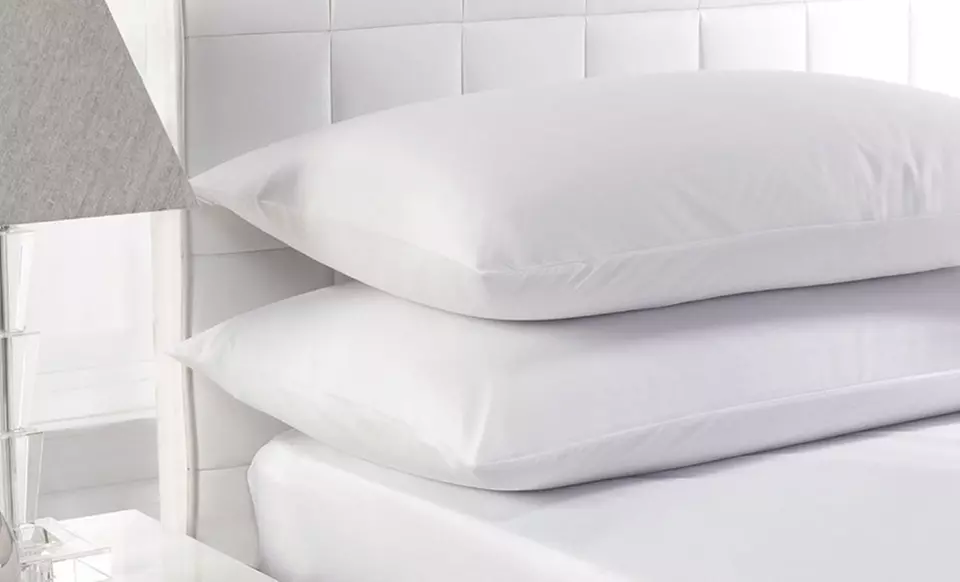 White Duck Feather Pillows - Primary Image
