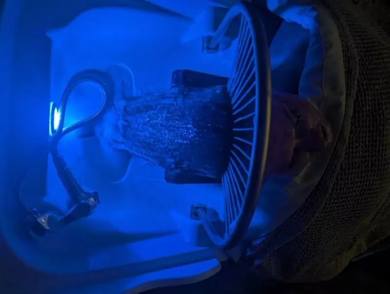 Up to 42% Off Pueblo’s First & Only Japanese Head Spa