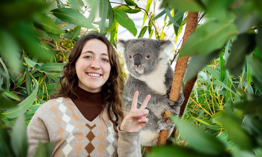 Image 8: Visit any 4 Top Attractions: Sea Life Sydney, Madame Tussauds & More