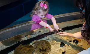 Experience Interactive Science Exhibits at the Liberty Science Center