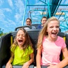 Image 16: EXCLUSIVE: Dorney Park NOW INCLUDES Haunted Mazes -  42% Off