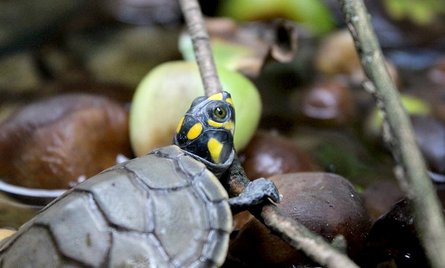 Image 6: Conservation Centre Tour