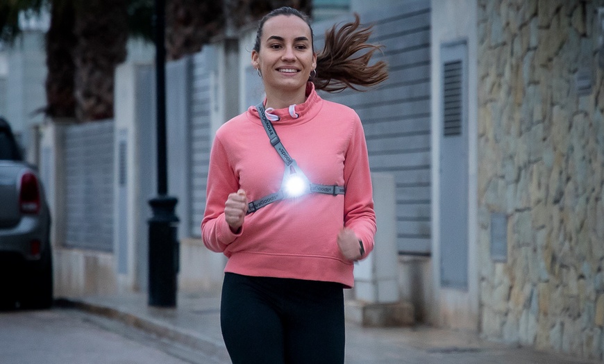 Image 11: Harnais de sport avec lumières LED Innovagoods