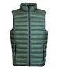Image 9: 1 o 2 giubbini piumini unisex smanicati