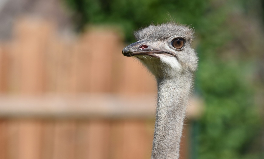 Image 2: Tiergarten Kleve – Ticket für 2 Erwachsene / 1 Kind, gültig bis 09.10.