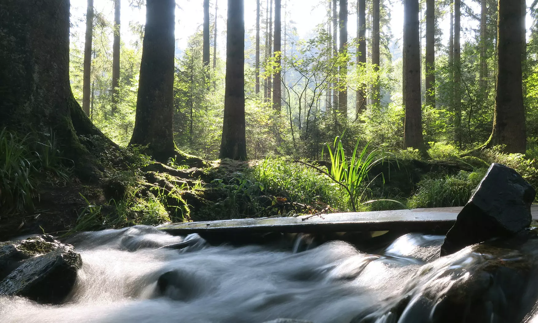 5 Tage Yoga-Retreat im Teutoburger Wald