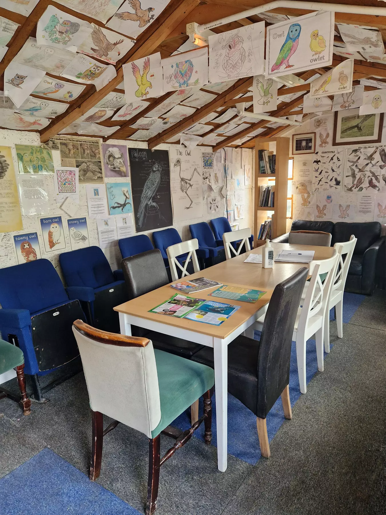 Up to 62% Off on Zoo / Animal Park at Wild Wings Birds Of Prey