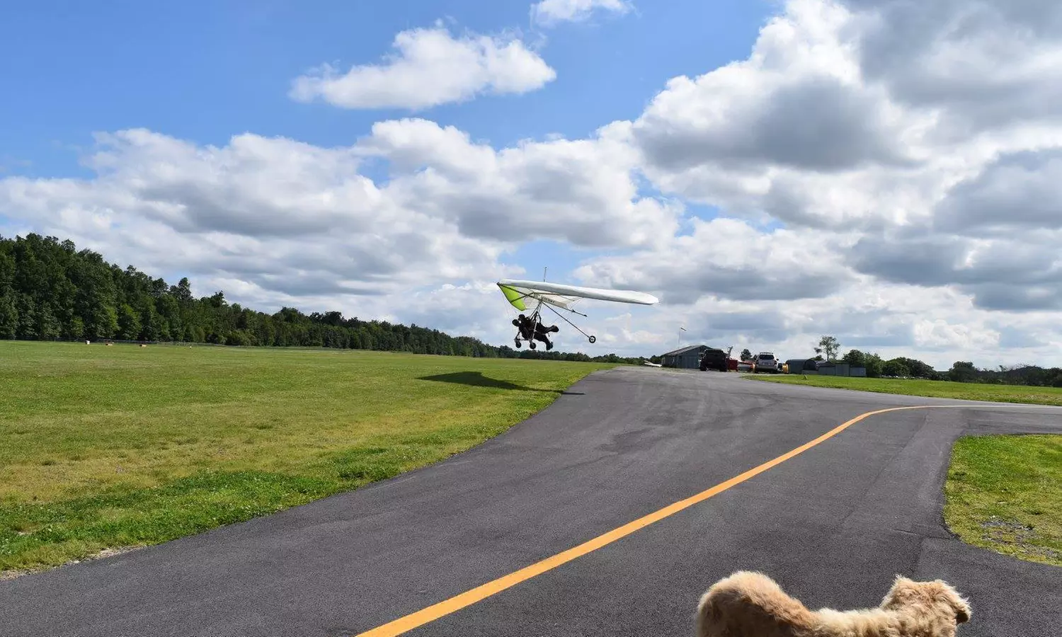Tandem Hang Gliding at 2,000 ft for One, Two, or Four People