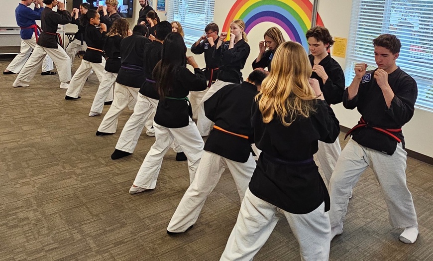Image 5: Get Escondido: Five Karate lessons for One or Two