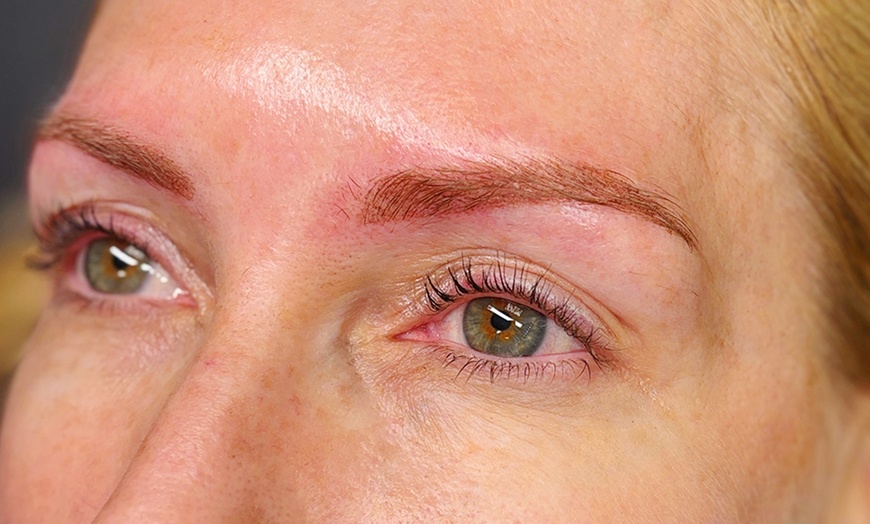 Image 2: Transform Your Look with One Powder Brow or Lip Blushing Sessions
