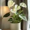 Image 13: Anthurium