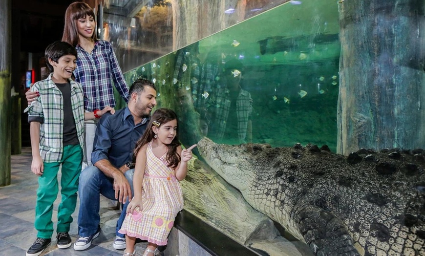 Image 9: Explore Dubai Aquarium with Frame, Glow Garden, Aya Universe & More!