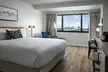 Sonesta Irvine John Wayne Airport Hotel: Indoor Pool & Airport Shuttle Service - Second Medium