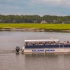 Image 2: All-Ages Guided Dolphin, or Round Trip Ferry Tour w/ Local Guides