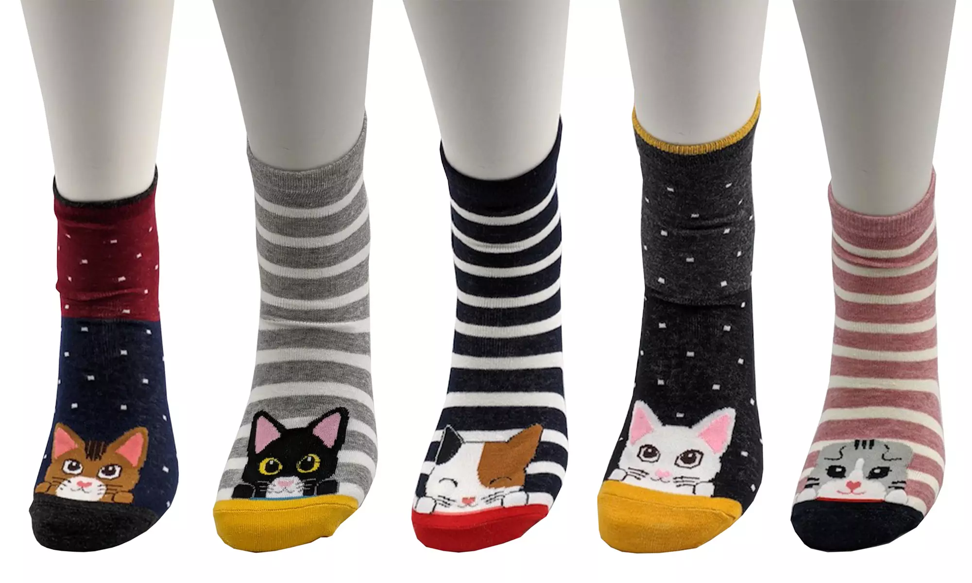 Lot de 5 paires de chaussettes en coton Bob Kitten - Primary Image