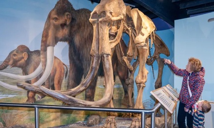 One Adult Entry To Meet The Mammoth Exhibition - Shropshire Hills Discovery Centre