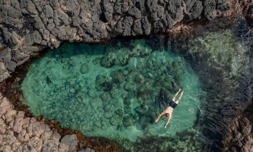 Image 5: Scenic Clifftop, Bay or Rainforest Picnic Hikes with Gourmet Lunch 