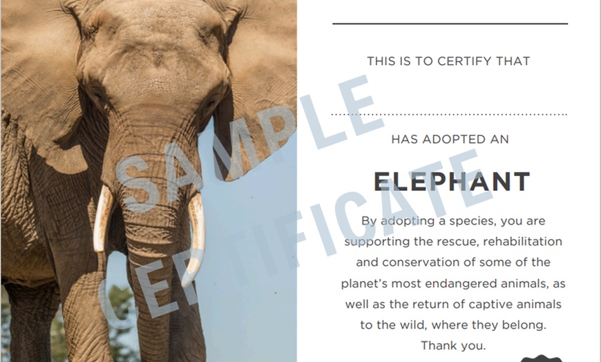 Image 10: 44% Off Digital Animal Adoption and Entry to Howletts Wild Animal Park