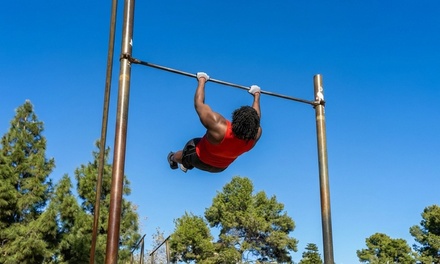 1-Hour Personal Training Session - Whubster Services LLC in Beverly Hills, CA