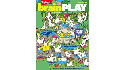 One-Year Print Subscription to brainPLAY Magazine - Blue Dolphin Magazines