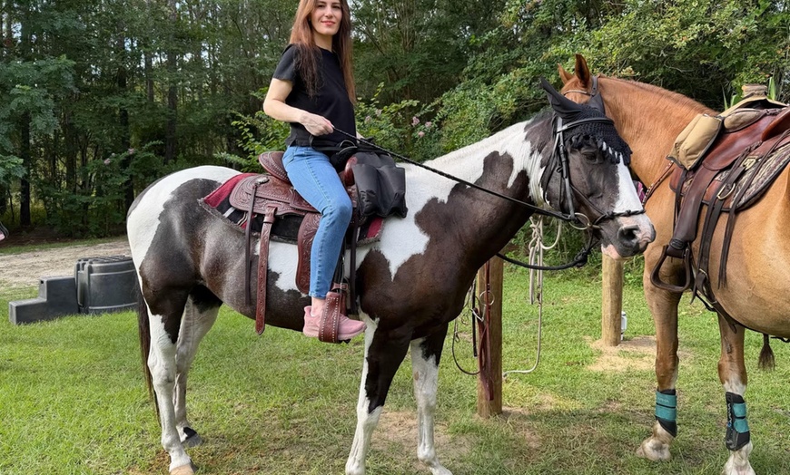 Image 3: Guided Trail Rides Through Florida's Scenic Countryside